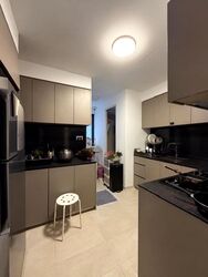 The Florence Residences (D19), Apartment #633172801
